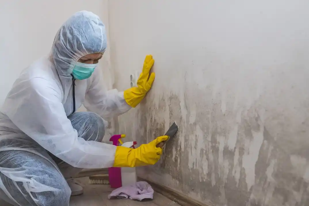 water damage restoration service Sunrise